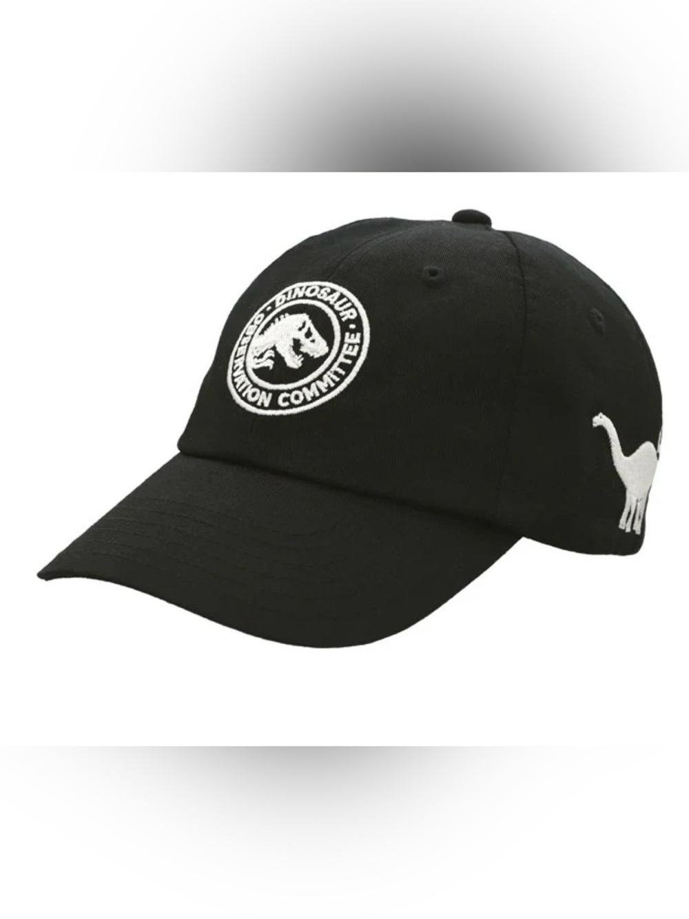 KIDS Universal Studios Japan Jurassic Park Dinosaur 🦖 Baseball Cap